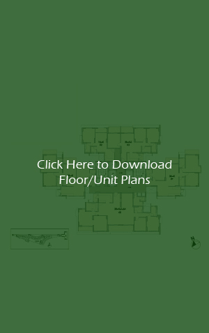 Floor & Unit Plan
